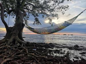 a hammock hanging from a tree on a beach at Koh Chang Bailan Beach Resort in Ko Chang +37 photos