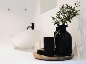 Fotografie z fotogalerie ubytování NYAMAN v Ostende