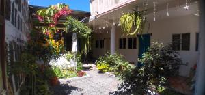 圣佩德罗拉拉古纳Casa LLEMO的植物和灯的庭院