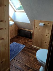 a bathroom with a toilet and a skylight at Gungas in Ādaži