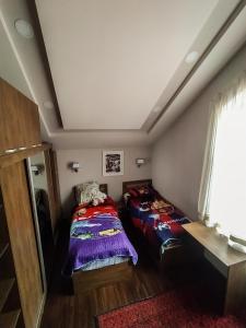 KhorogPamir One的相册照片