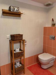 een badkamer met een toilet en een radio aan de muur bij Apartmán Renáta 10 in Ružomberok