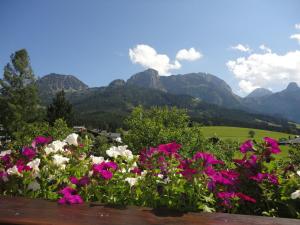 um campo de flores com montanhas ao fundo em Ferienwohnung Ronacher em Abtenau