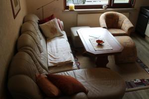 ein Wohnzimmer mit einem Sofa, einem Stuhl und einem Tisch in der Unterkunft Ferienhaus Dani in Bad Gottleuba