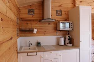 a kitchen with a sink and a microwave at CHALET ESPRIT ZEN et NATURE AVEC SPA in Saint-Hilaire-de-Riez