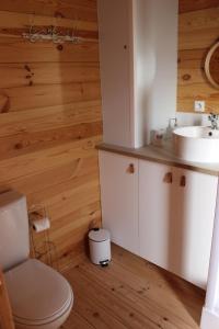 a bathroom with a white toilet and a sink at CHALET ESPRIT ZEN et NATURE AVEC SPA in Saint-Hilaire-de-Riez