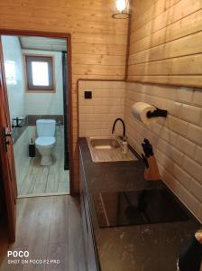a bathroom with a sink and a toilet at Domki letniskowe Kama 514-280-102 in Solina