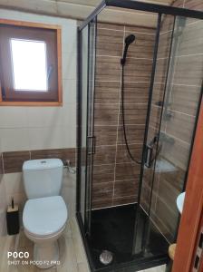 a bathroom with a toilet and a shower at Domki letniskowe Kama 514-280-102 in Solina