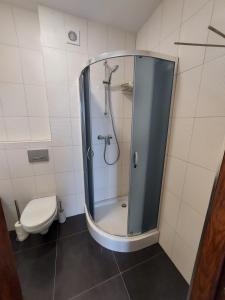 La salle de bains est pourvue d'une douche et de toilettes. dans l'établissement Nowoczesny apartament w zacisznym sercu Torunia., à Toruń