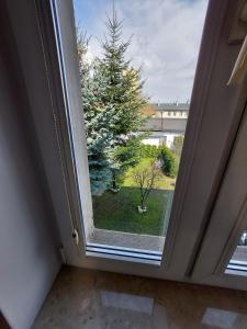 uma janela num quarto com vista para uma árvore em Nowoczesny apartament w zacisznym sercu Torunia. em Toruń