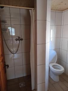 a bathroom with a shower and a toilet at Садиба під Чертежиком 2 in Kolochava