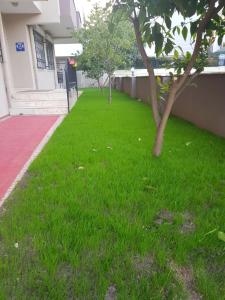 a green lawn with a tree in front of a building at Apartments Anatolia in Antalya
