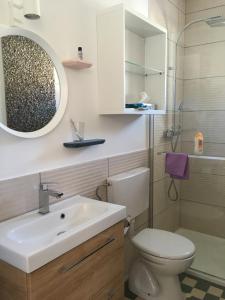 uma casa de banho com um lavatório, um WC e um espelho. em Pyramides22 maison de ville de charme em Mulhouse