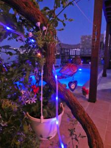 ein Weihnachtsbaum in einem Topf mit blauen Lichtern in der Unterkunft Villa Priene - Gumusluk Private Pool in Gümüşlük