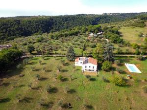 Príroda v okolí vily