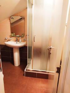 a bathroom with a shower and a sink at Apartman Jasmin in Vrnjačka Banja
