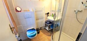 a bathroom with a shower and a toilet and a sink at Fewo Traum in Neppermin