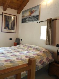 ein Schlafzimmer mit einem Bett mit einer Decke darauf in der Unterkunft Chez Sylvie Vda-Issogne-001 in Issogne