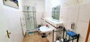 a bathroom with a sink and a shower and a mirror at Fewo Traum in Neppermin