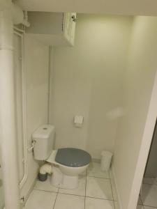 un piccolo bagno con servizi igienici e sedile verde di Gîte de la Côte a Viéville Altre 12 foto