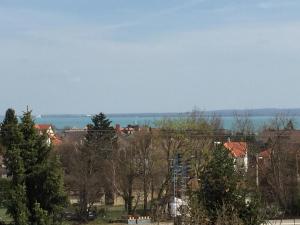 vistas a una ciudad con árboles y un cuerpo de agua en Szeki Apartman en Balatonfüred