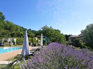 una piscina con ombrelloni e fiori viola accanto ad essa di Villa Le Ginestre Assisi ad Assisi