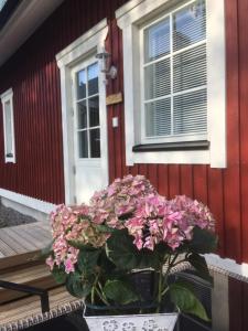 a potted plant sitting on a table in front of a house at Villa Sofia Barösund in Inkoo