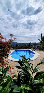 The swimming pool at or close to Domus Mare Cilento