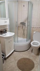 Bilik mandi di Apartman Ristanovic +7 gambar