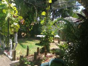 Zahrada ubytování Beni Beach Resort Batticaloa, Sri Lanka