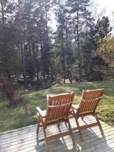 Zahrada ubytování Summers Paradise