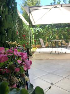 Ogród w obiekcie B&B SALento Garden