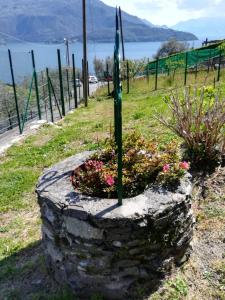 Afbeelding uit fotogalerij van Casa Lella in Domaso