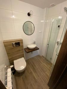 La salle de bains est pourvue de toilettes, d'un lavabo et d'un miroir. dans l'établissement Agroturystyka Marysieńka, à Rymanów-Zdrój
