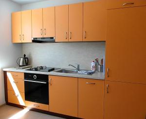 A kitchen or kitchenette at Apartmány Dalila