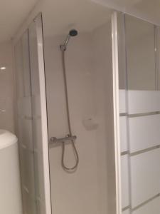 y baño con ducha con cabezal de ducha. en Logement proche Lyon-aéroport-Centrale Bugey, en Dagneux