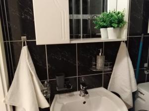 Kúpeľňa v ubytovaní STUDIO APARTMAN TONKO - s balkonom