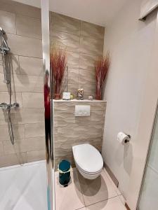 ein kleines Badezimmer mit Toilette und Dusche in der Unterkunft Nocturno in La-Roche-en-Ardenne