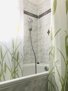 a shower in a bathroom with a shower curtain at Eifel-House - FeWo in Weilerswist