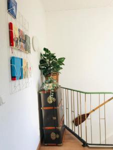 Fotografie z fotogalerie ubytování Eifel-House - FeWo v destinaci Weilerswist