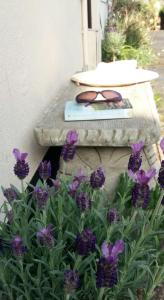 un par de gafas sentadas en una mesa junto a flores púrpuras en Bossell Cottage Devon, en Buckfastleigh