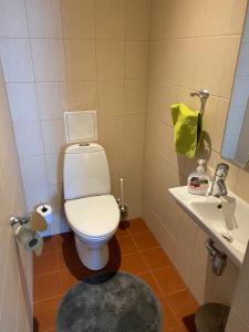 ein Badezimmer mit einem weißen WC und einem Waschbecken in der Unterkunft Papli Seaview Apartment in Pärnu