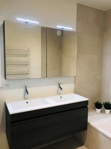 a bathroom with a white sink and a mirror at EastDune in Oostduinkerke +16 photos