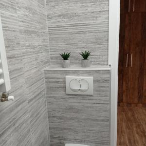 Koupelna v ubytování LAKI apartman