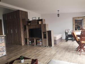 TV a/nebo společenská místnost v ubytování LAKI apartman