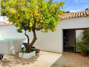 un oranger devant une maison blanche dans l'établissement Casa el Patio del Limón, con piscina, à Montecorto