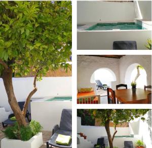 un collage de photos d'une maison avec un arbre dans l'établissement Casa el Patio del Limón, con piscina, à Montecorto