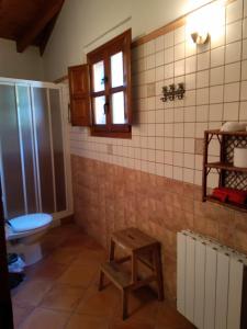 a bathroom with a toilet and a window at Casa Llayo in Aliezo +29 photos