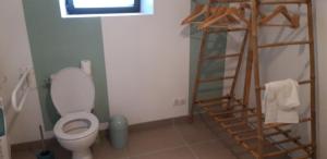 a bathroom with a toilet and a wooden ladder at La grange du moulin in Saint-Christophe +18 photos
