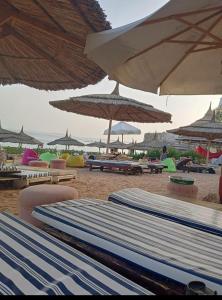 eine Gruppe Liegestühle und Sonnenschirme am Strand in der Unterkunft Studio in Sharm El Sheikh